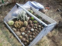 /album/rok-2012/a2012-03-24-14-13-28-jpg/